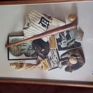TY COBB Collection Wood/Glass Frame Print 14 3/4 H x 11 3/4 W Multicolor